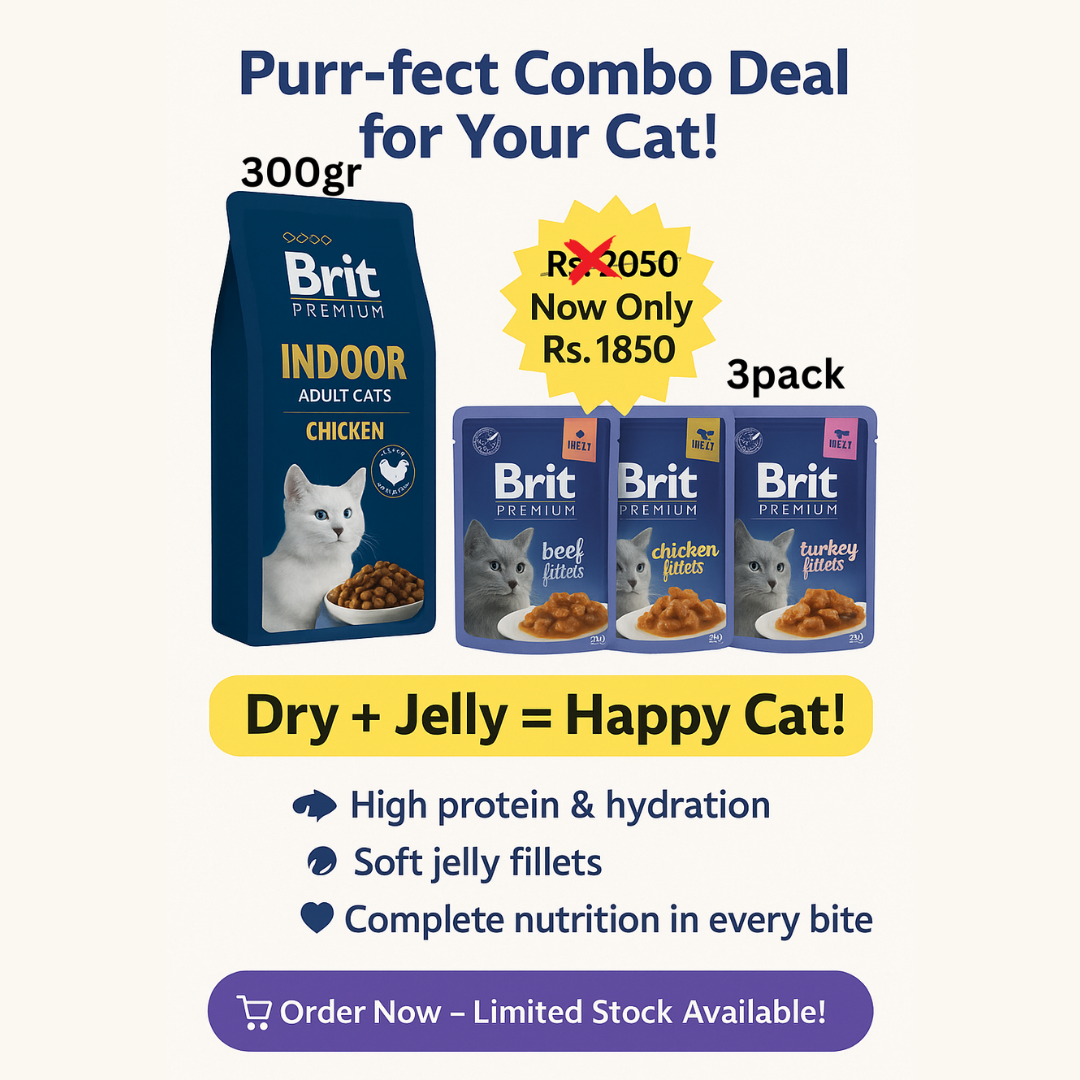 Brit Premium Cat Food Combo – Indoor Chicken Dry Food (300g) + Jelly Pouches (3 Pack) | High Protein & Hydration | Limited Time Offer