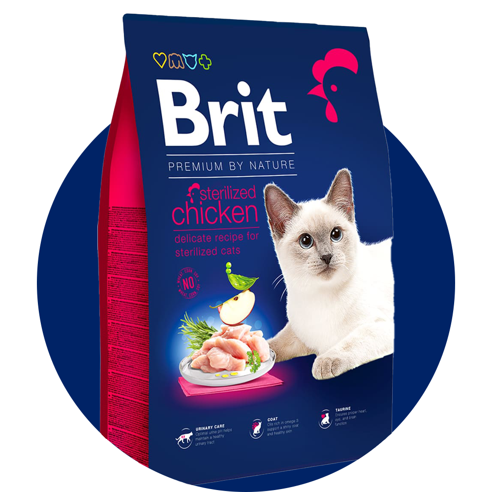 Brit