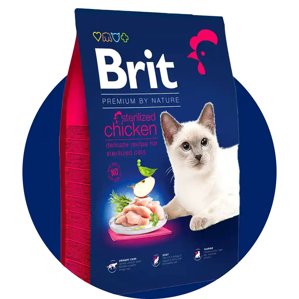 Brit