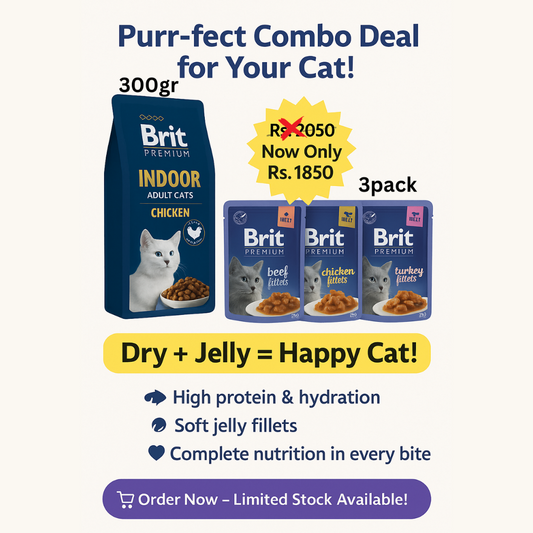 Brit Premium Cat Food Combo – Indoor Chicken Dry Food (300g) + Jelly Pouches (3 Pack) | High Protein & Hydration | Limited Time Offer