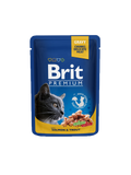 Brit Premium Cat Pouch – Salmon &amp; Trout in Gravy (100g) | Made In Czech Republic